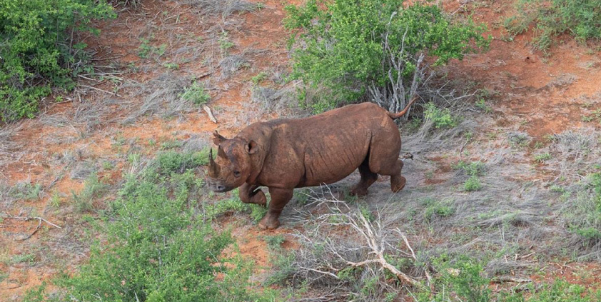 DECEMBER 2024 Tsavo Trust Monthly Report
