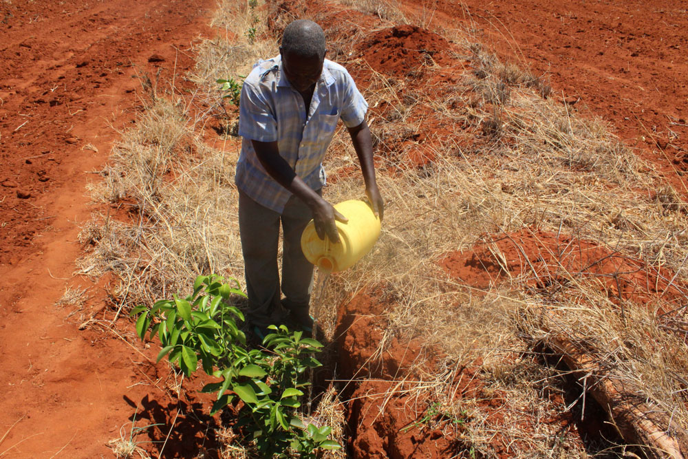 Photo 2: Stephen Muia Kisonde maintaining his beehives in October 2023