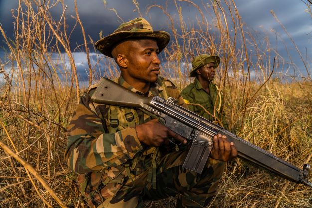 African Conservation Kenya