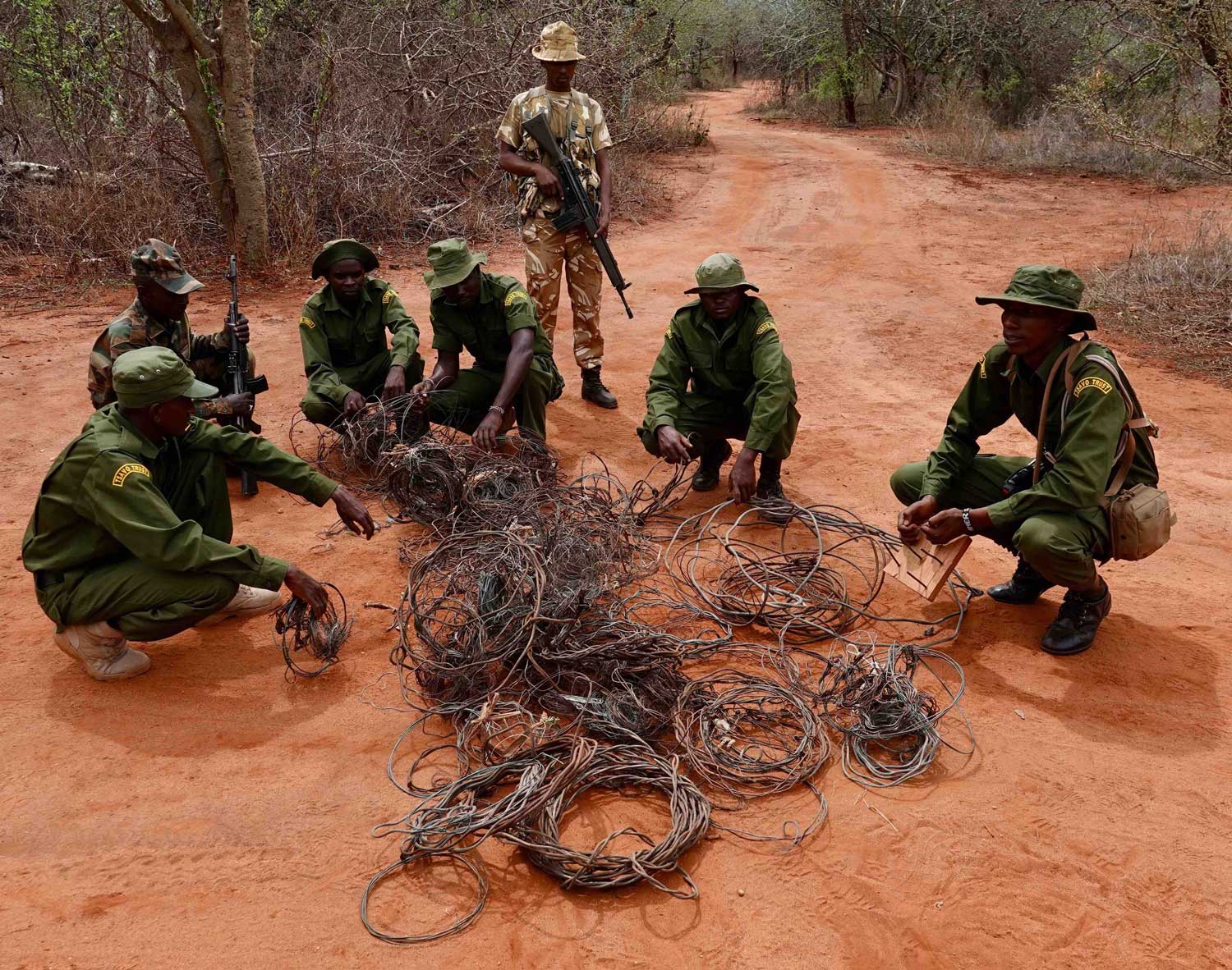 Aerial TT Recovered Snares