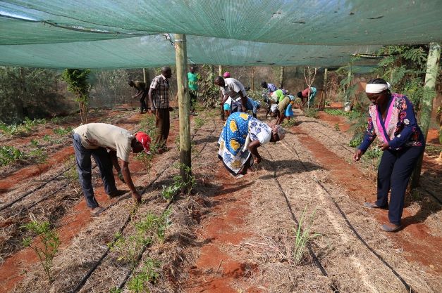 Community Conservation Hwc Wildlife Conflict