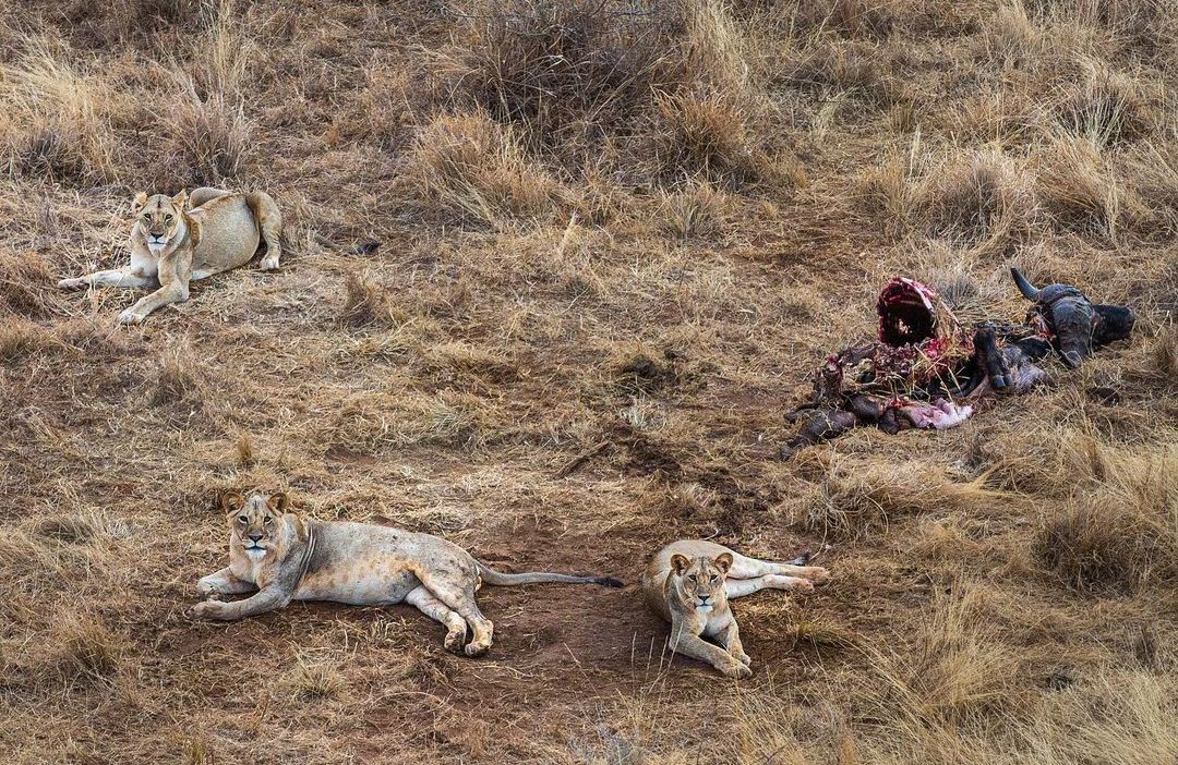 Conservation And Tourism