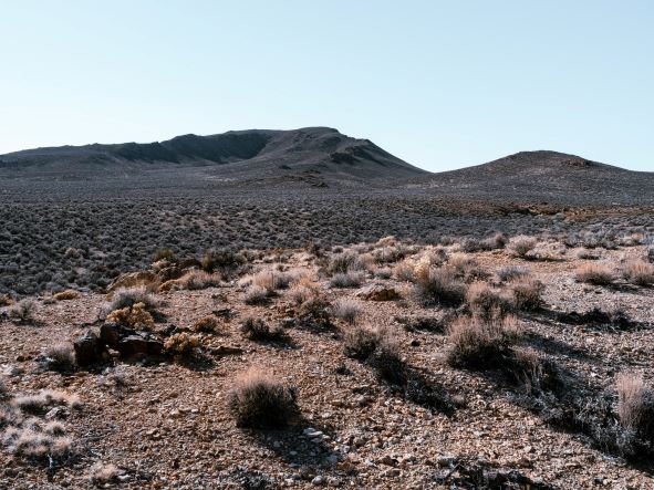 Desertification Elephant Conservation Resize