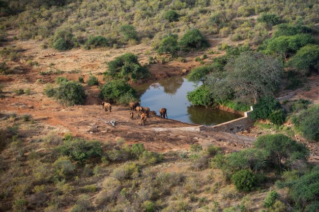Drought Kenya Elephant Conservation
