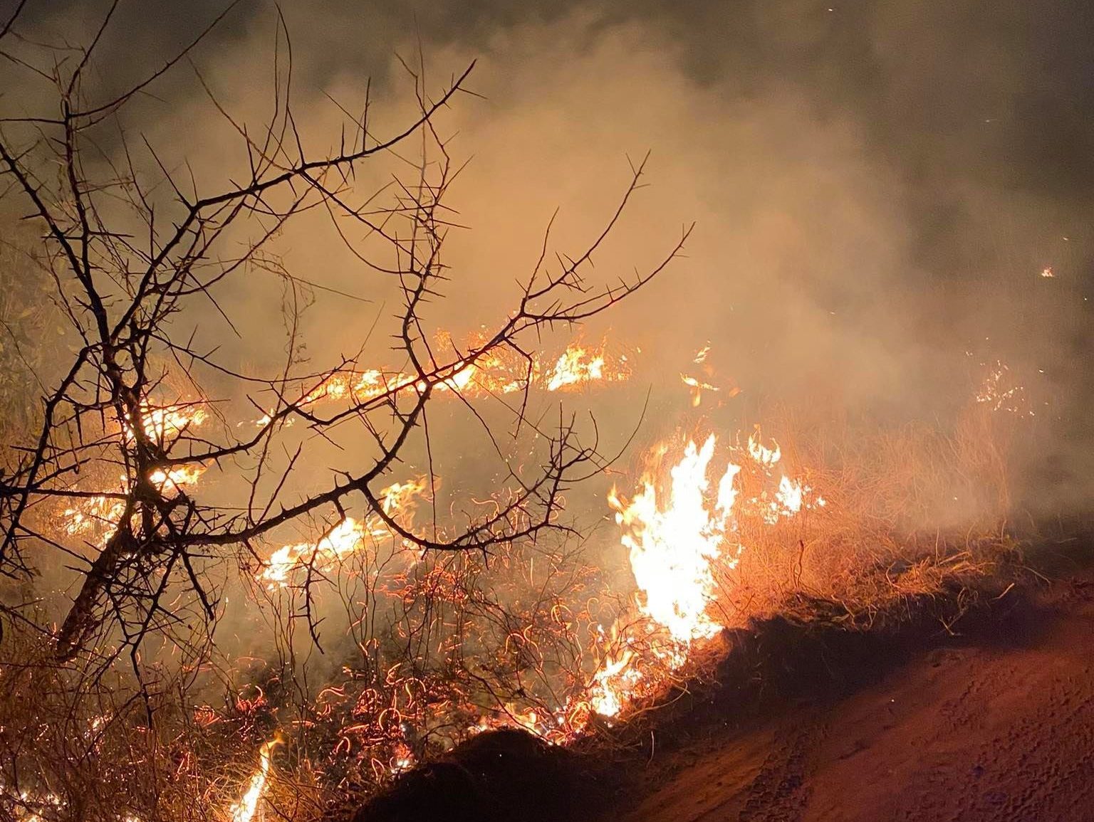 Elephant Conservation Fire