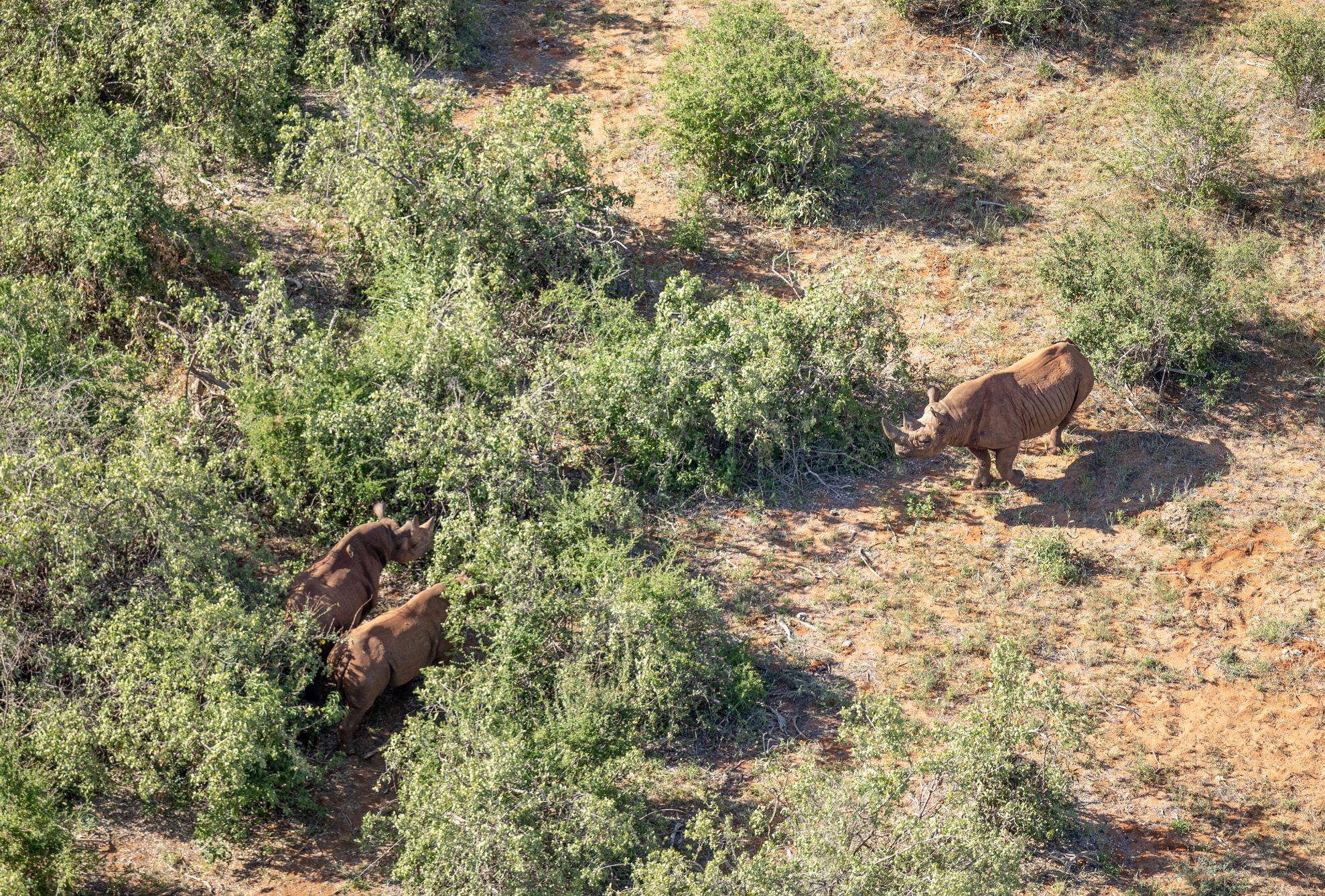 Inspiring Places Tsavo