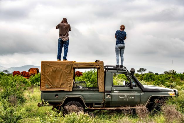 One Good One Bad Story Conservation