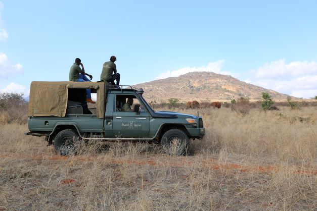 Rangers Elephant Conservation 2