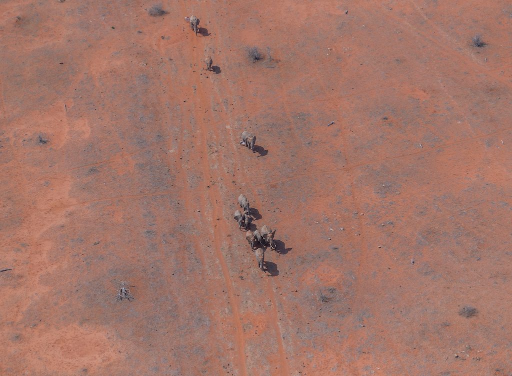 Voi River Degrading Conservation Tsavo