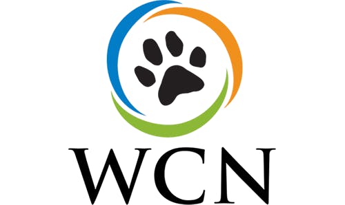 WCN Logo