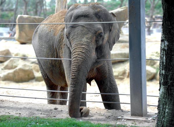 Zoo Ukraine Res