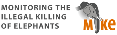 Mike Banner Logo Long