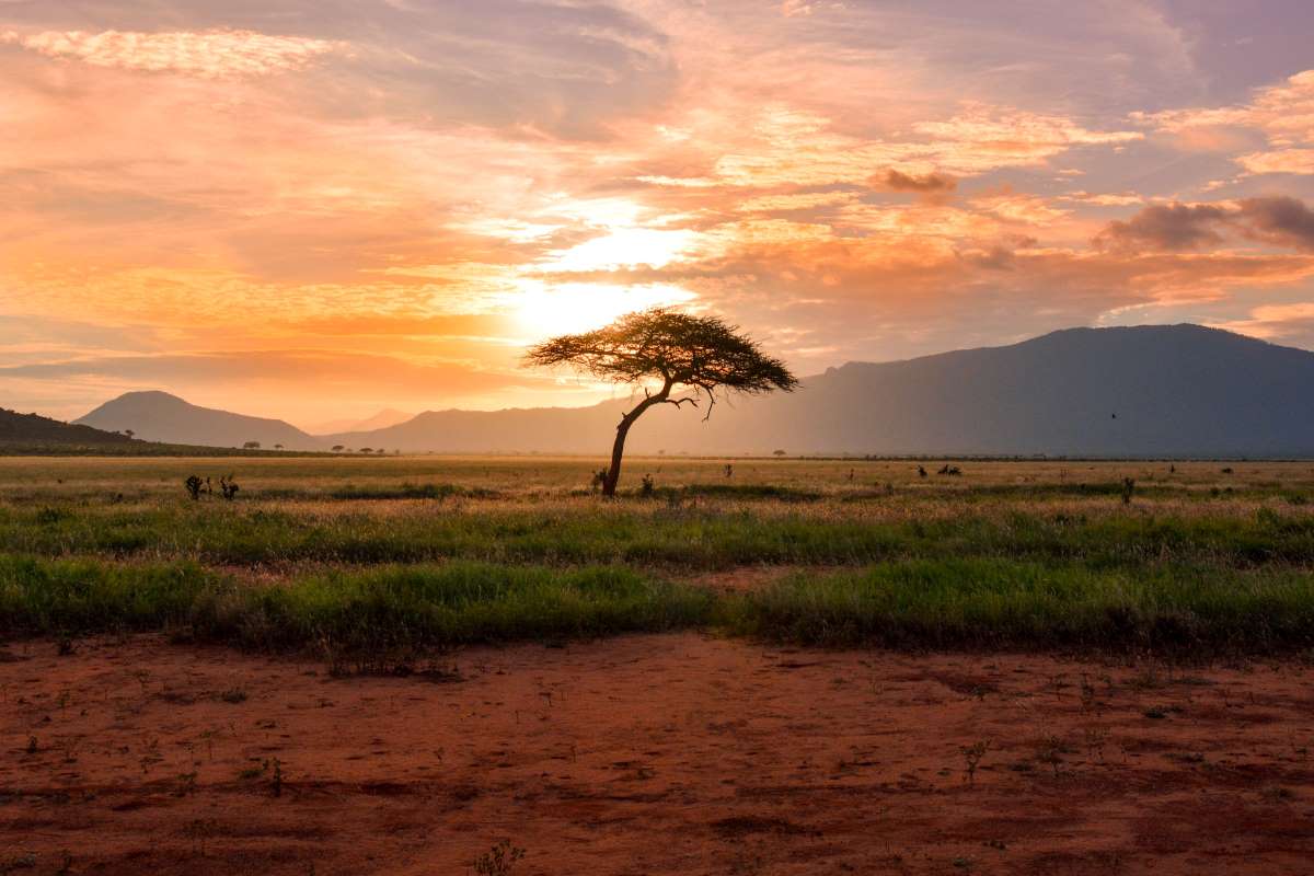 Tsavosundown